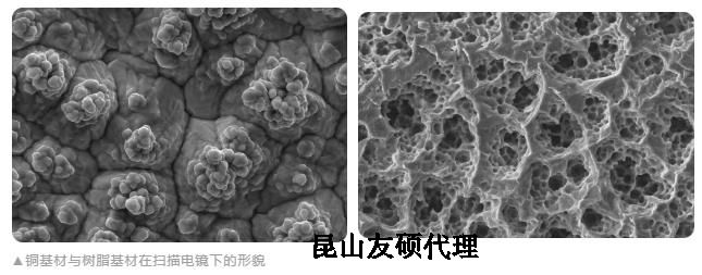 北辰蔡司北辰扫描电镜